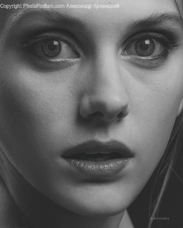 Face, Person, Human, Head, Portrait