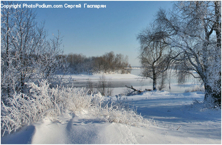 Blizzard, Outdoors, Snow, Weather, Winter, Landscape, Nature