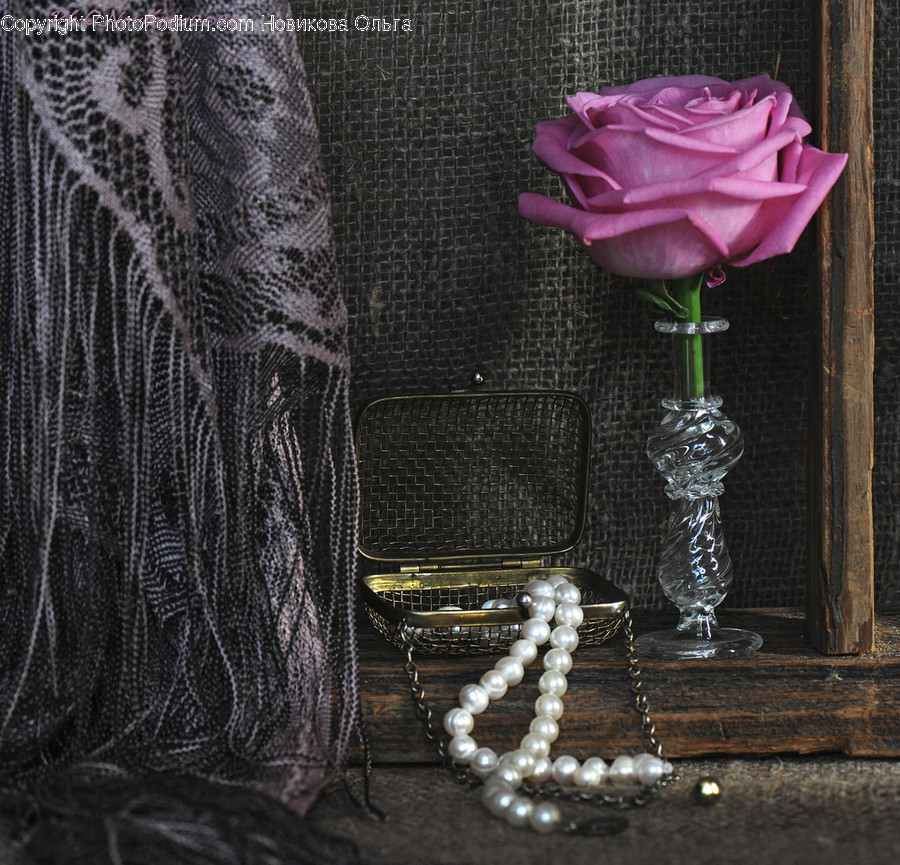 Bead, Accessories, Accessory, Plant, Necklace