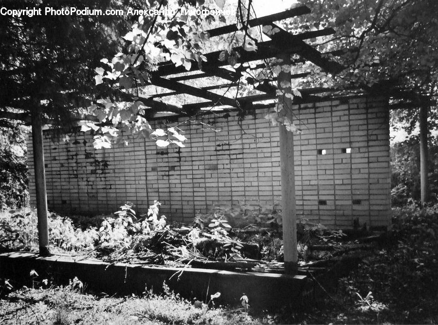 Building, Cottage, Housing, Patio, Pergola, Porch, Grass