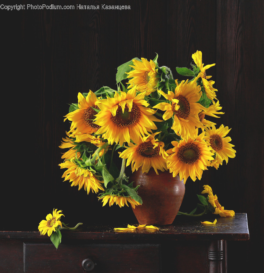 Plant, Flower, Blossom, Flower Arrangement, Flower Bouquet