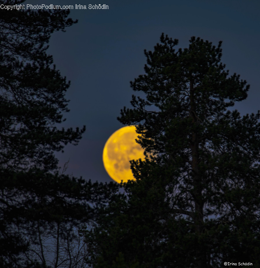 Nature, Outdoors, Night, Outer Space, Universe