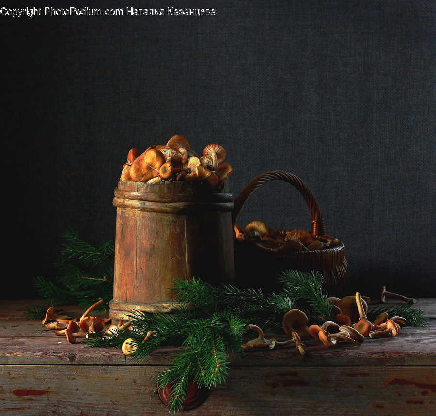 Plant, Painting, Art, Pottery, Tabletop