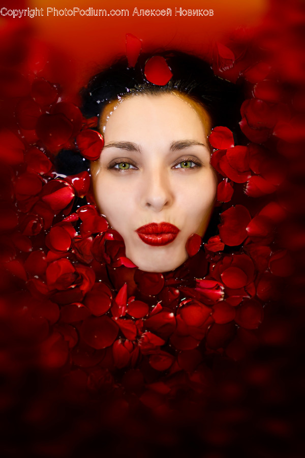 Petal, Plant, Flower, Blossom, Person