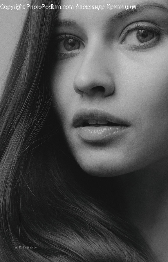 Face, Person, Human, Head, Portrait
