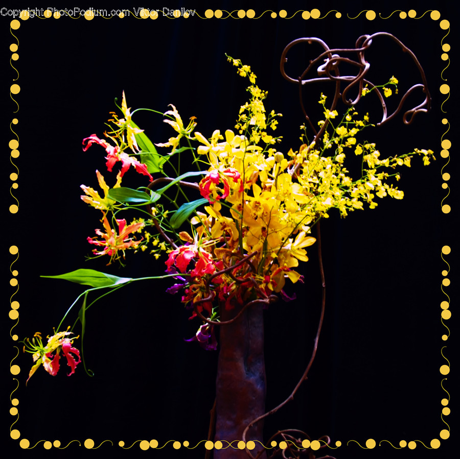 Ikebana, Plant, Vase, Jar, Pottery