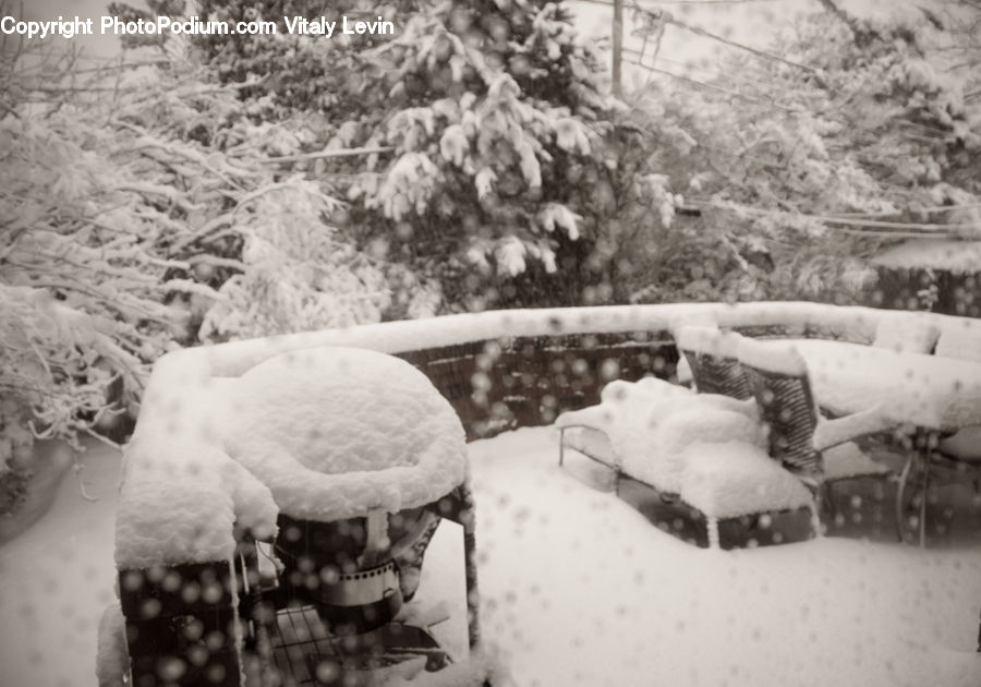 Ice, Outdoors, Snow, Automobile, Car, Vehicle, Agaric
