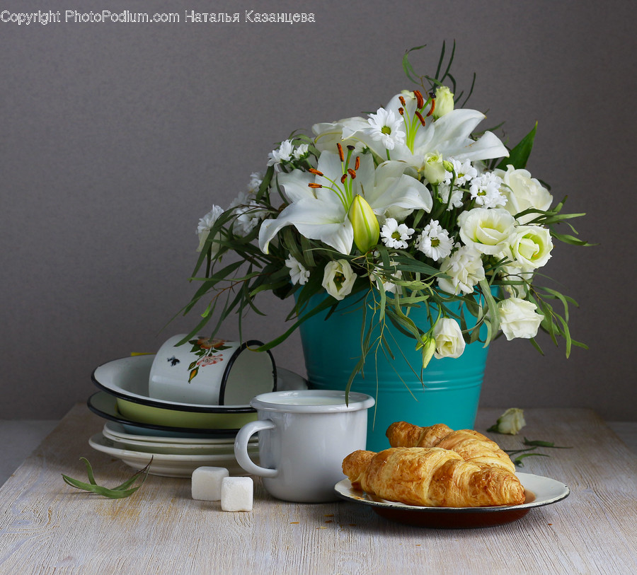 Plant, Pottery, Flower, Blossom, Saucer