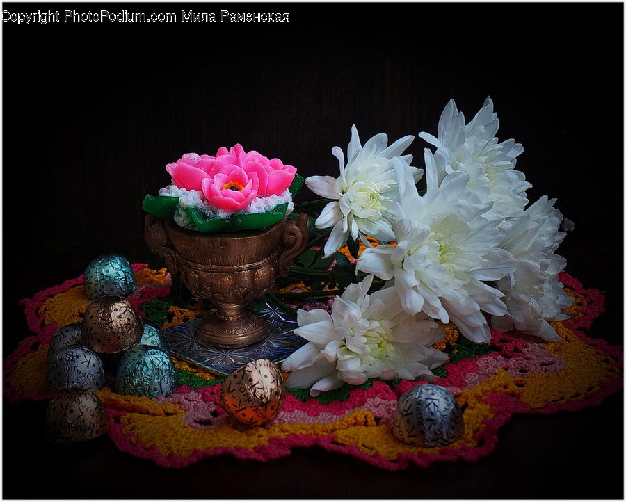 Plant, Flower Bouquet, Flower Arrangement, Flower, Blossom