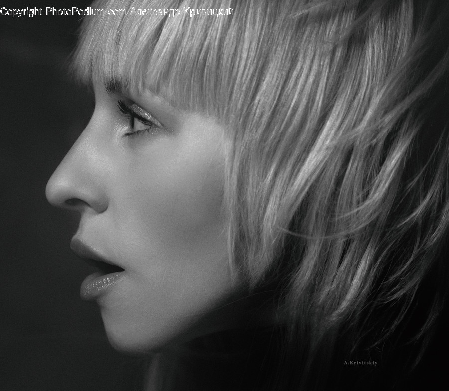 Face, Person, Human, Head, Portrait