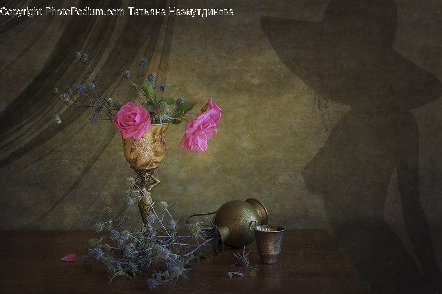 Plant, Rose, Flower, Blossom, Vase