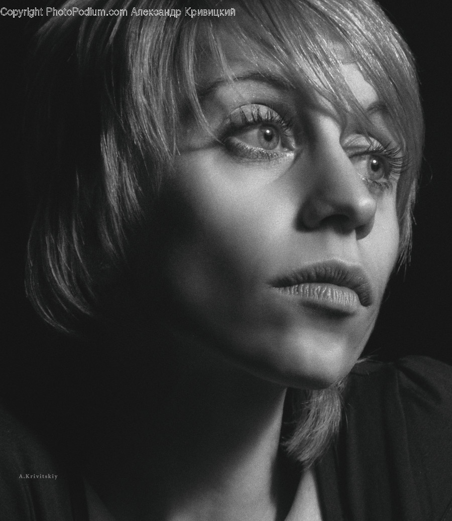 Face, Person, Human, Head, Portrait