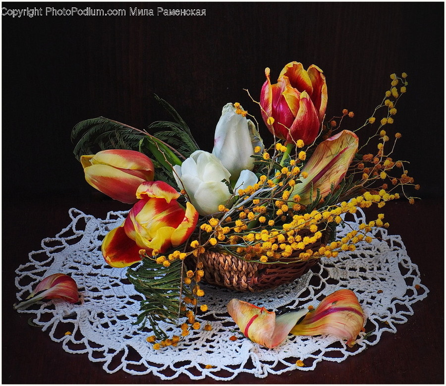 Plant, Flower Arrangement, Flower, Blossom, Flower Bouquet