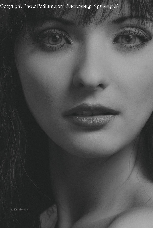 Face, Person, Human, Head, Portrait