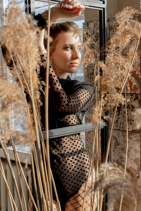 Person, Human, Clothing, Apparel, Plant