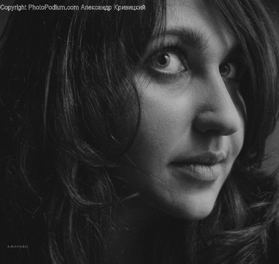 Face, Person, Human, Head, Portrait