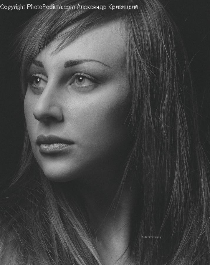 Face, Person, Human, Head, Portrait