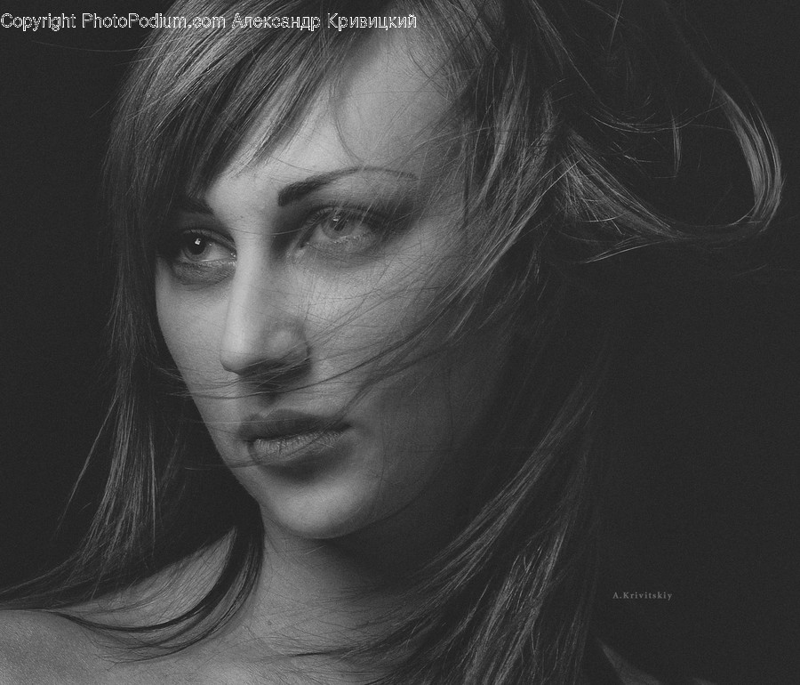 Face, Person, Human, Head, Portrait