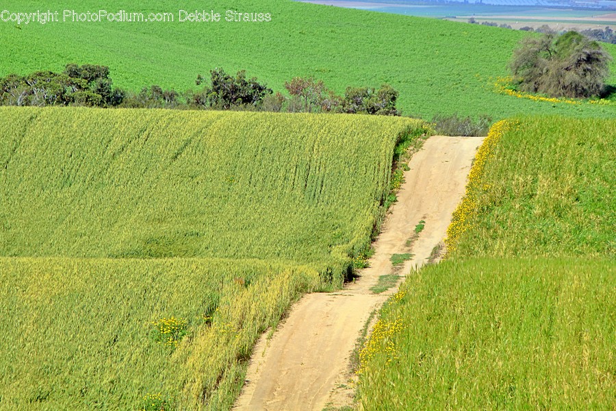 Nature, Outdoors, Grassland, Field, Countryside