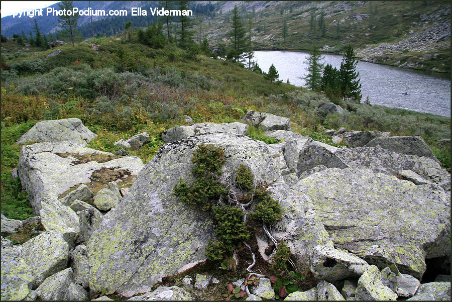 Crest, Mountain, Outdoors, Peak, Rock, Wilderness, Plant