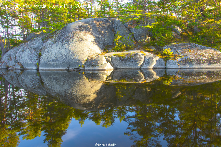 Water, Nature, Outdoors, Plant, Land