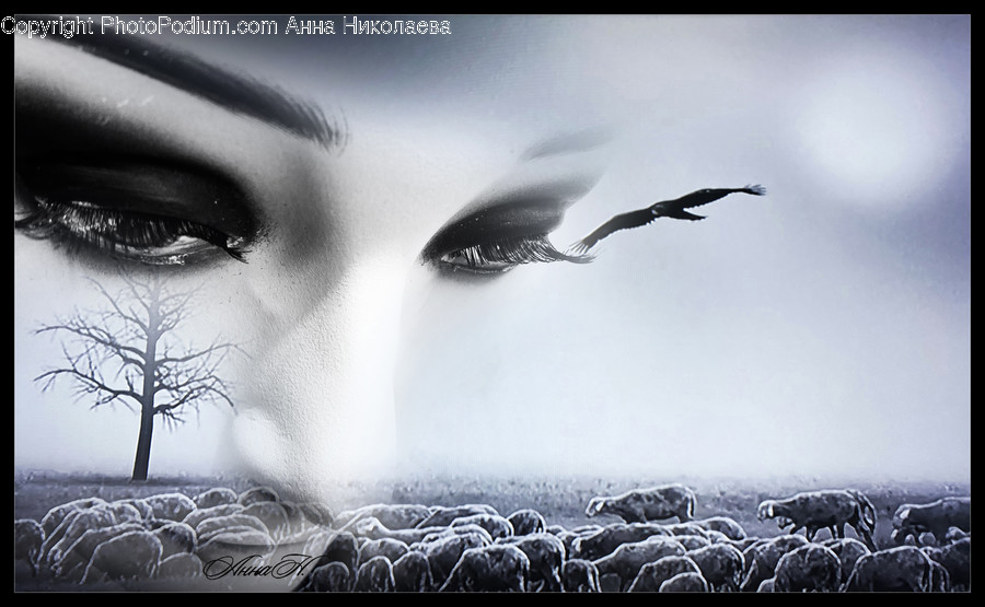 Bird, Animal, Sheep, Mammal, Art