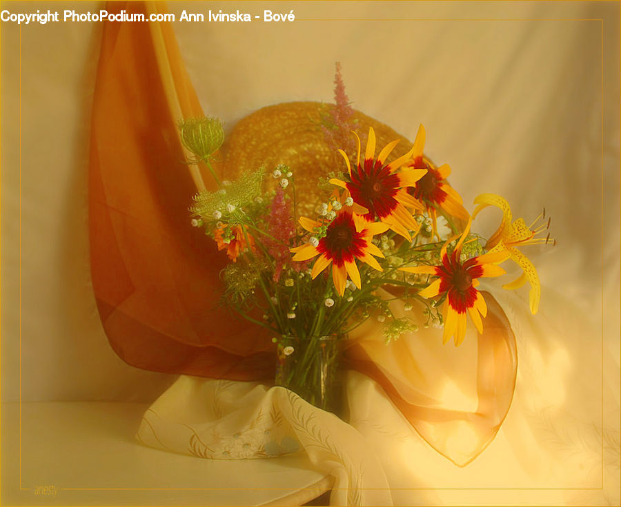 Flower Arrangement, Ikebana, Plant, Potted Plant, Vase, Cosmos, Flower