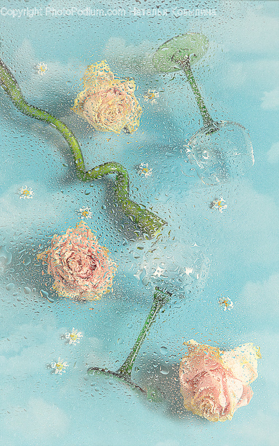 Plant, Pattern, Flower, Blossom, Petal