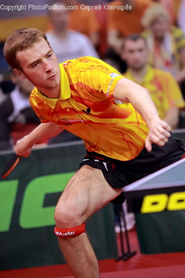 Person, Human, Sport, Sports, Ping Pong