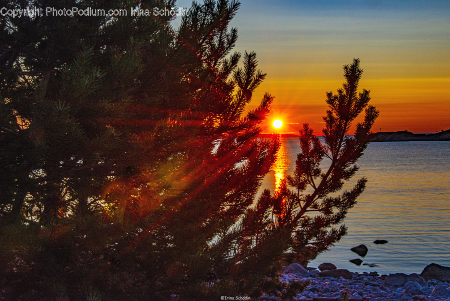 Flare, Light, Outdoors, Nature, Sunlight