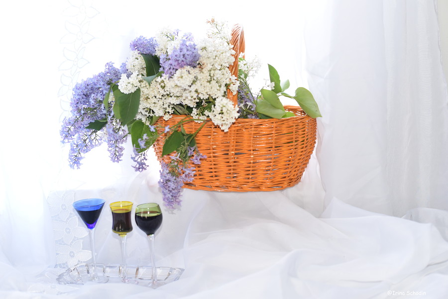 Plant, Glass, Flower, Blossom, Flower Bouquet