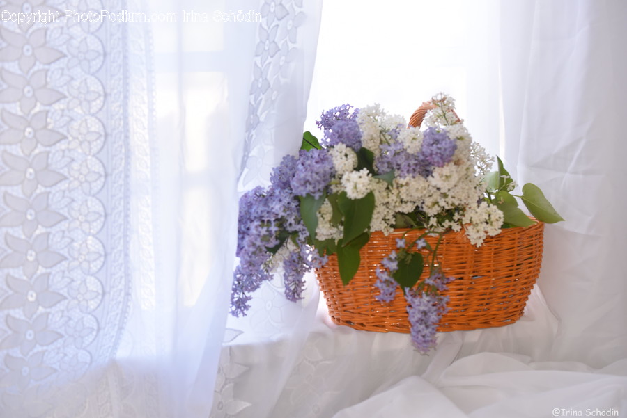 Plant, Flower, Blossom, Flower Bouquet, Flower Arrangement
