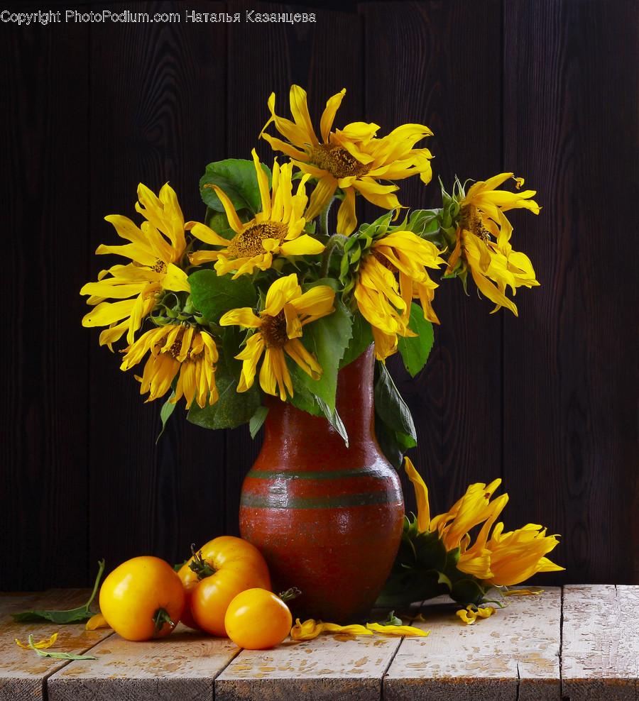 Plant, Flower, Blossom, Flower Bouquet, Flower Arrangement