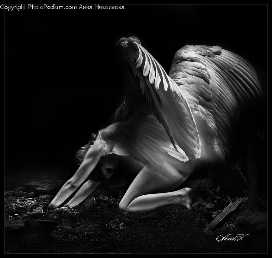 Bird, Animal, Waterfowl, Art