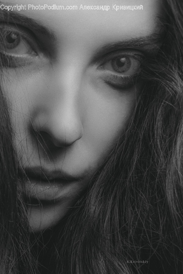 Face, Person, Human, Beard, Portrait