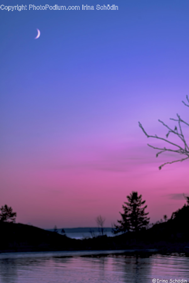 Nature, Outdoors, Tree, Plant, Night
