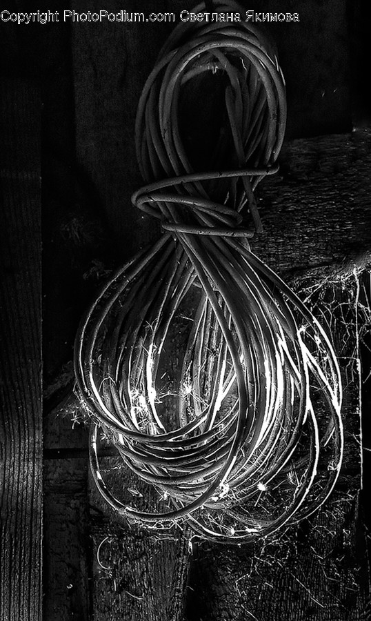 Coil, Spiral, Appliance