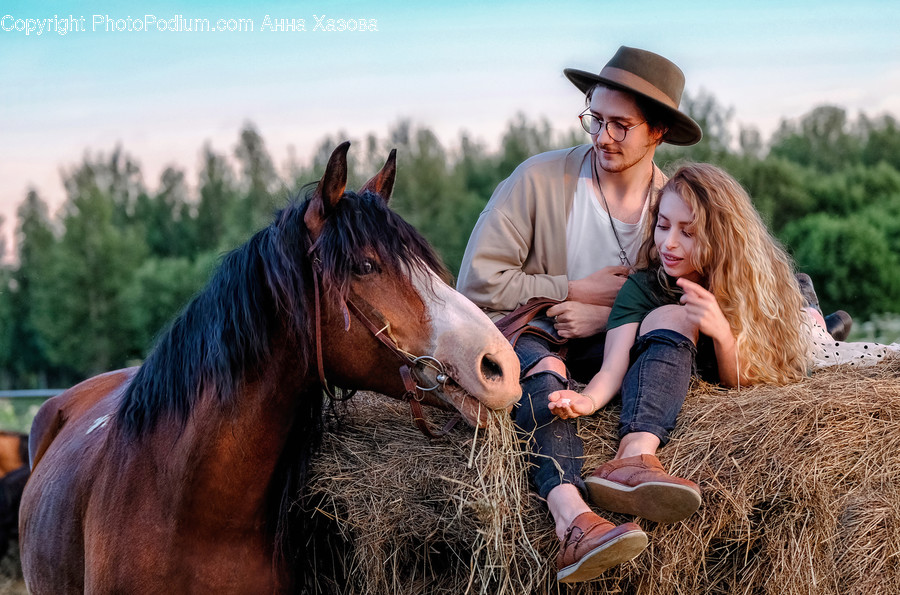 Clothing, Apparel, Horse, Mammal, Animal