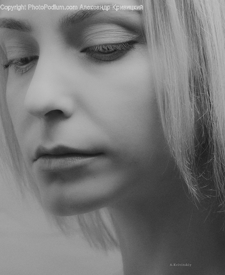 Face, Person, Human, Head, Portrait