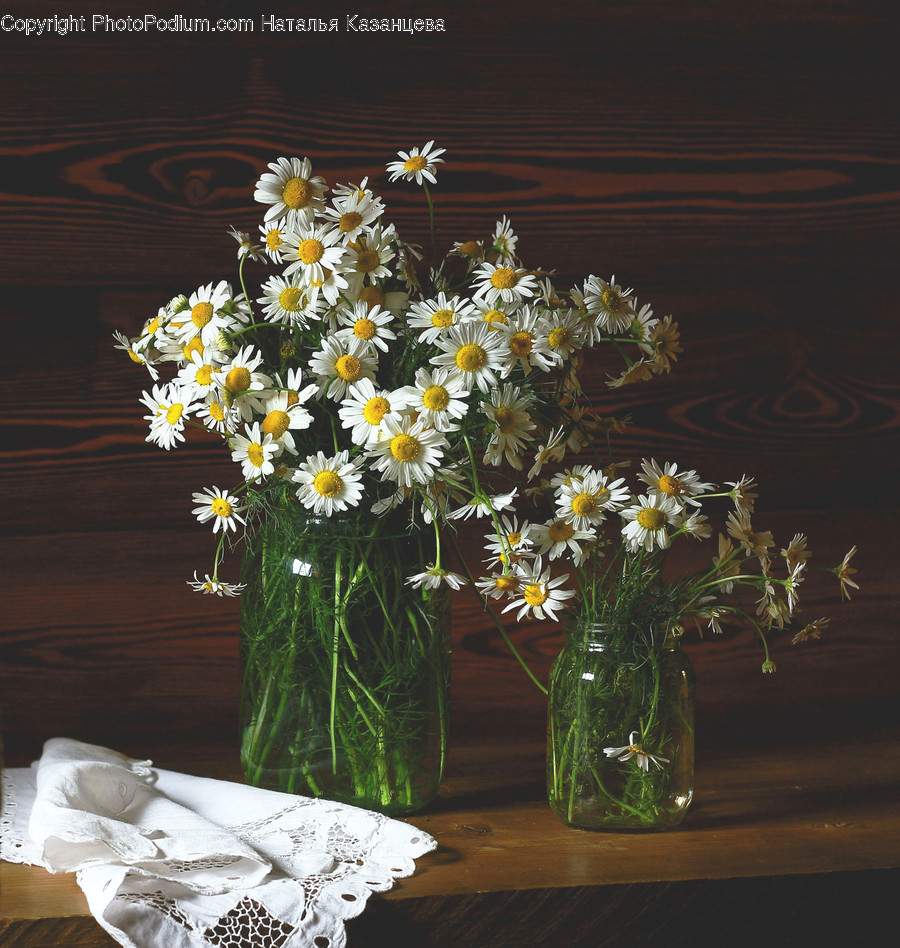 Plant, Flower, Blossom, Flower Arrangement, Flower Bouquet