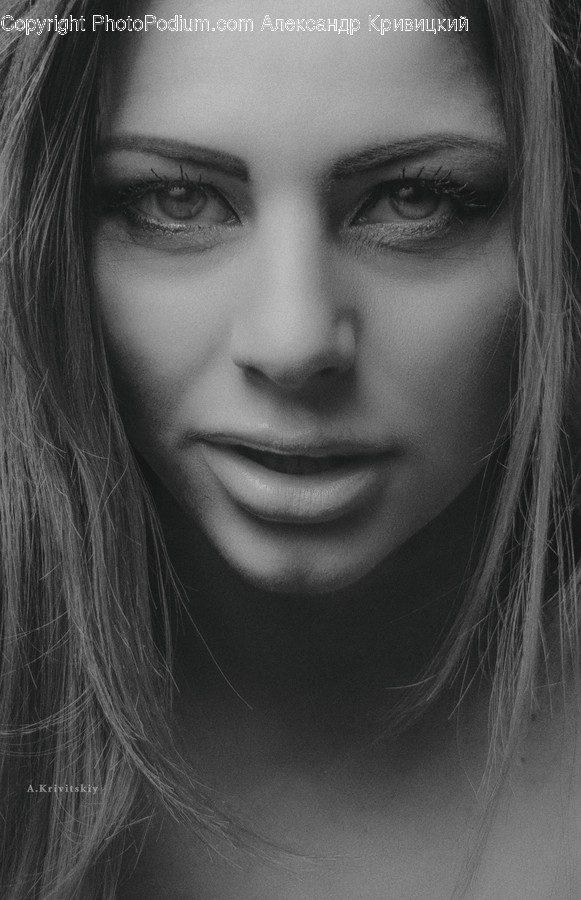 Face, Person, Human, Head, Portrait