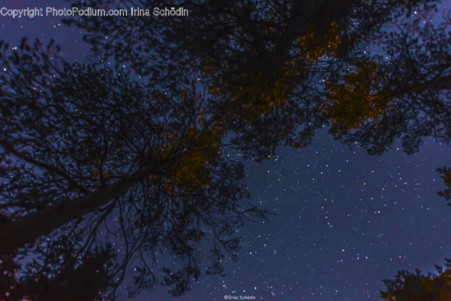 Nature, Outdoors, Starry Sky, Night, Astronomy