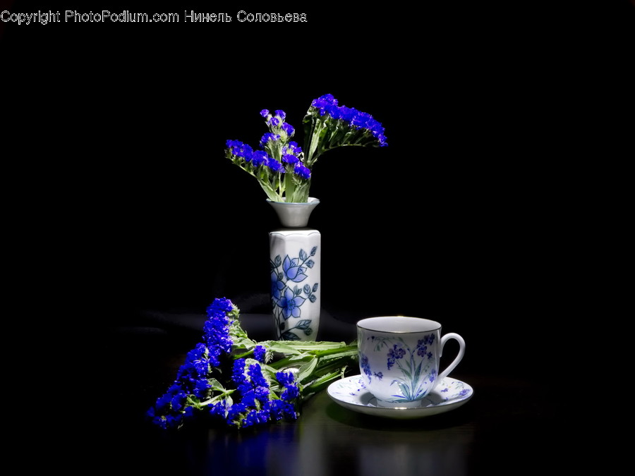 Saucer, Pottery, Coffee Cup, Cup, Plant