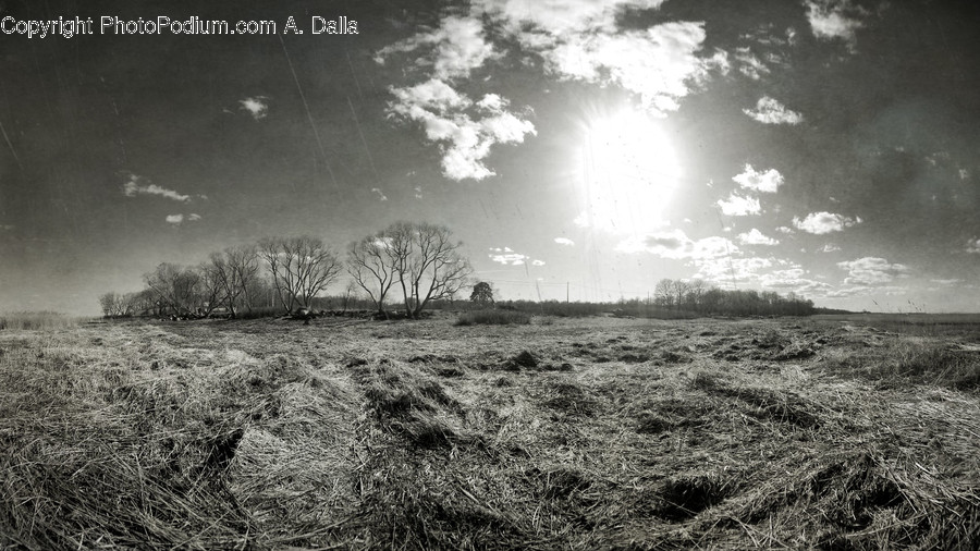 Flare, Light, Nature, Ground, Outdoors