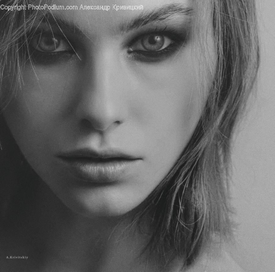 Face, Person, Human, Head, Portrait
