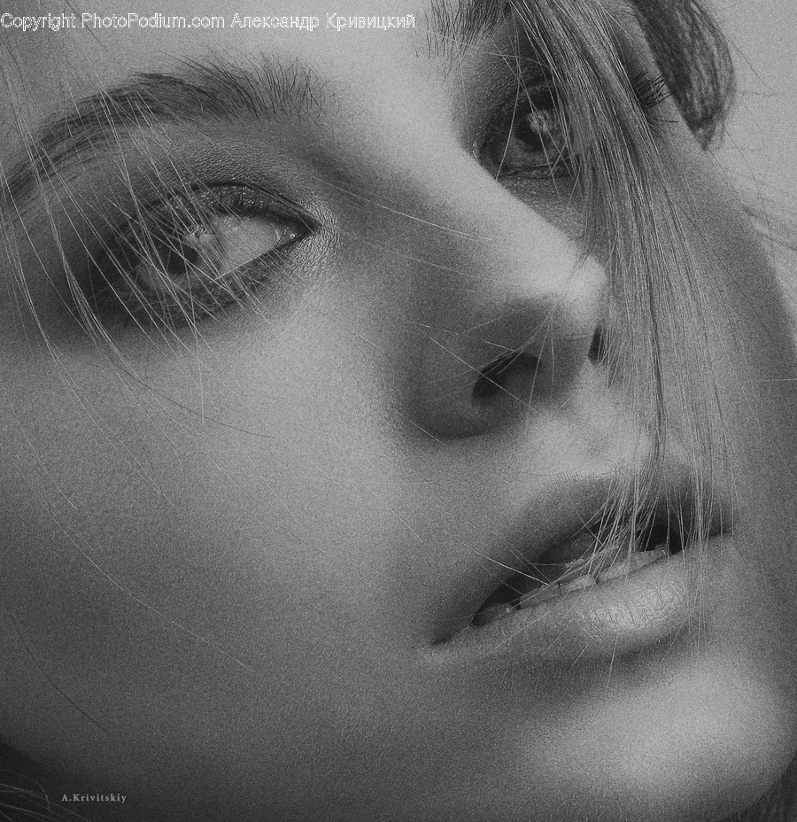 Face, Person, Human, Head, Skin