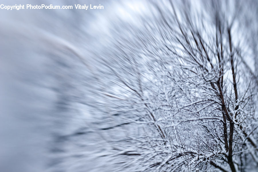 Blizzard, Outdoors, Snow, Weather, Winter, Frost, Ice