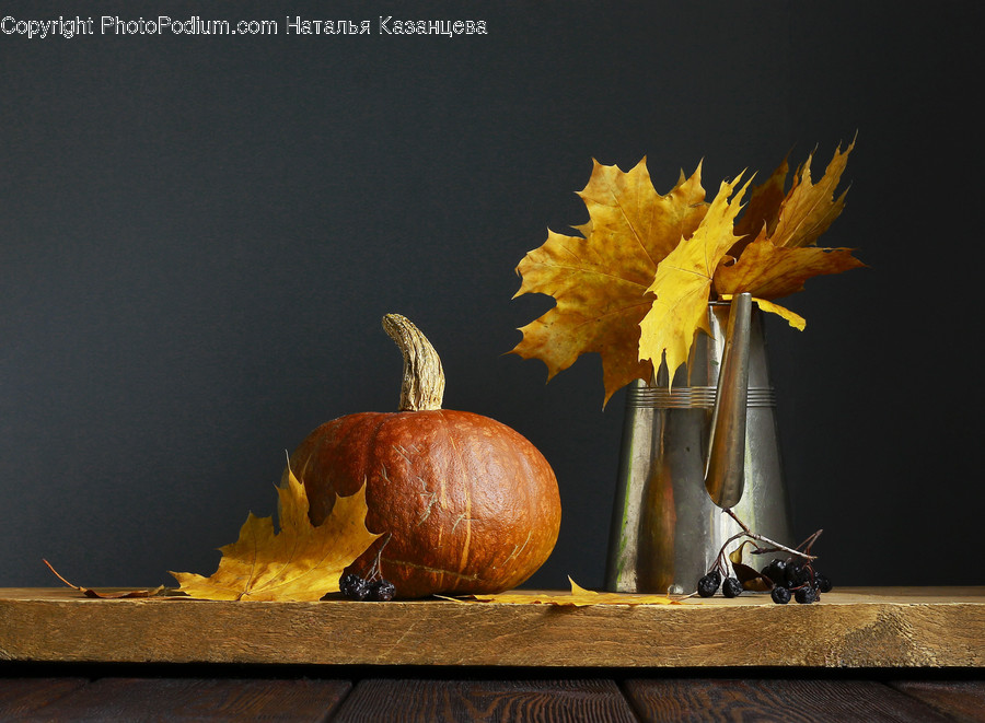 Plant, Leaf, Pumpkin, Vegetable, Food