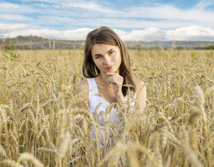 Plant, Grain, Vegetable, Produce, Food