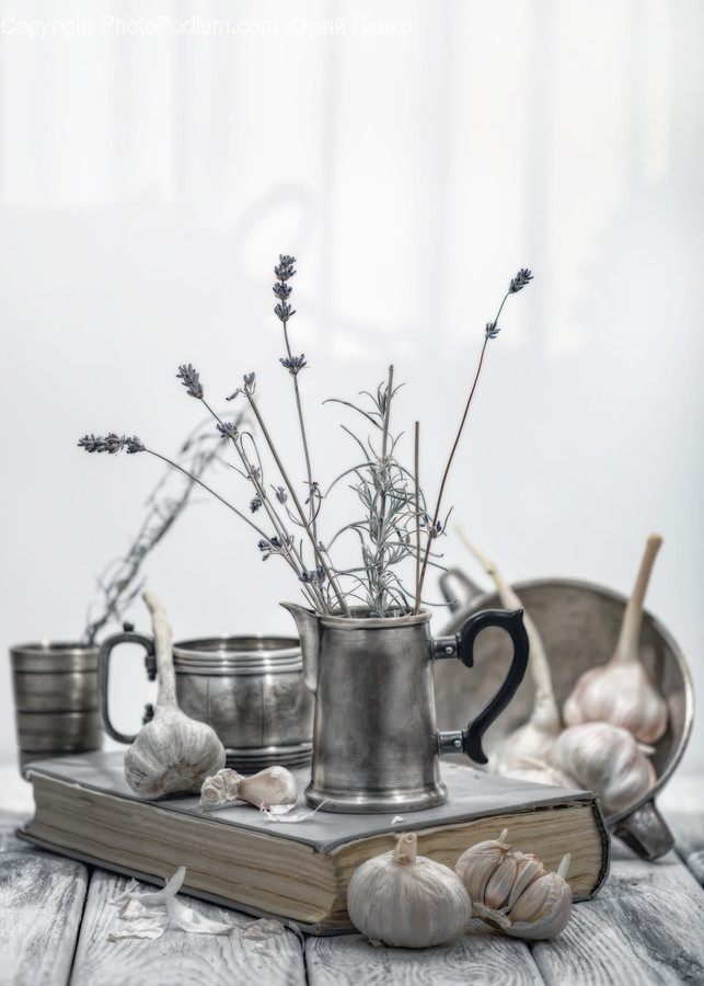 Plant, Pottery, Flower, Blossom, Flower Arrangement